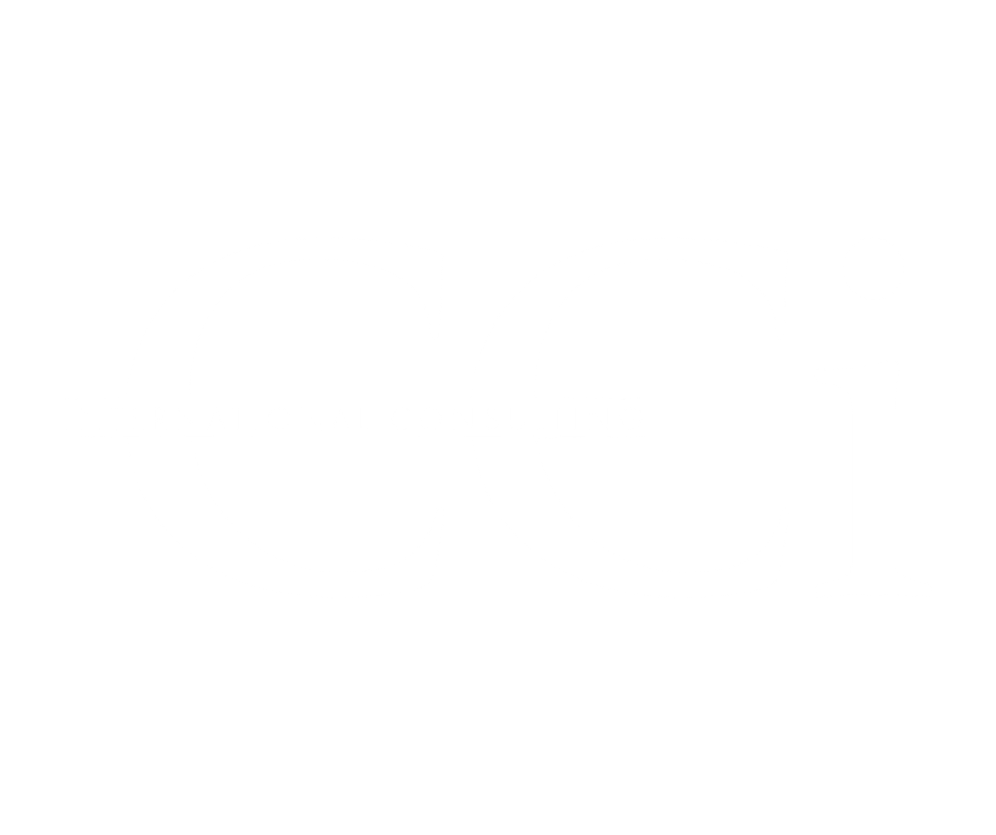 CCi International Consulting